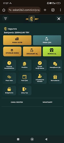 Screenshot_2025-03-17-17-27-30-352_com.android.chrome